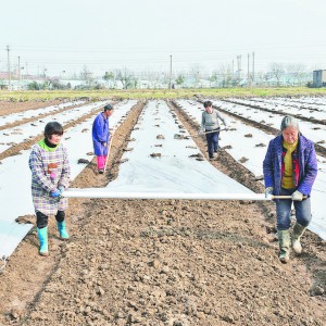 ��ů��� �r(n��ng)��æ