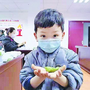 ������ǰ�󣬷N���c����