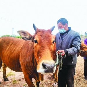 �x�������(q��)܇ǧ�� ֻ���Ѯ���ˌ�ţ