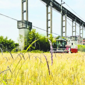 �x���KϪ�(zh��n)�Rɽ�Ǵ�С���_�