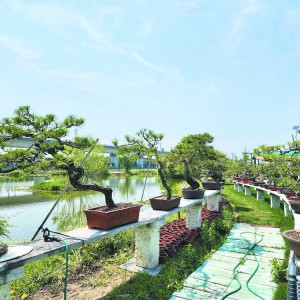 �辰׃���X���� ���˴帻���񡪡������������塰�����a(ch��n)�I(y��)��̽��