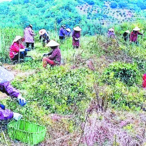 �x���శ�������@��(j��ng)��(j��)�����l(f��)����C(j��)