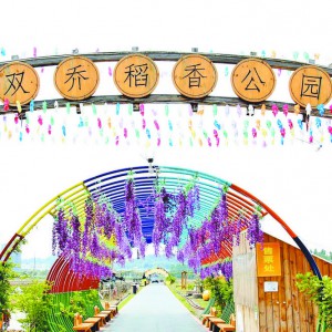 �శ�ʵ������L������������