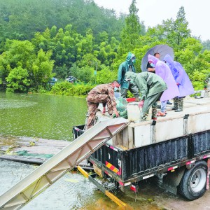 ��ֳ�����o���B(t��i)