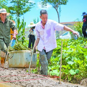 ��ʿ�F(tu��n)��������ԇ�(y��n)��