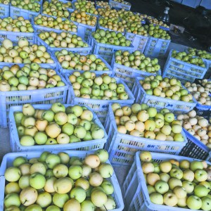 ׌СС������r������L ���ׂ������İ��Ƽ����