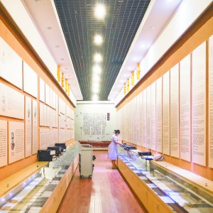 �x���ЈD��(sh��)�^�e�k ���^�����A���� �Ʊ��ο�չ��