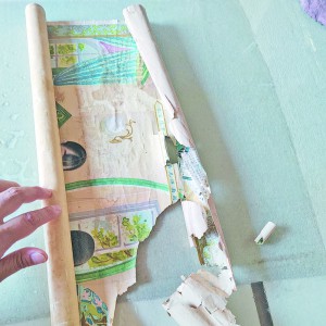 �ż��ޏ�(f��)��׌����������ָ��@����