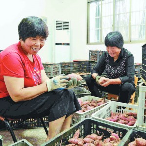 ���ǽֵ��e�O�䌍���������Ŀ ׌�������r(n��ng)�ڼ��T���،��N·