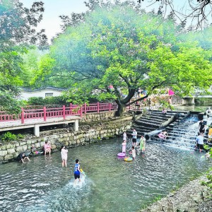 �����Ϫ�� ������Ρ����L���B(t��i)�D��