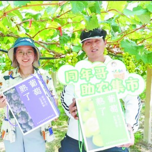 �������� �������r(n��ng)���l(f��)���Ľ���