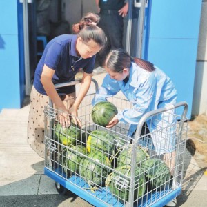 ����ɽ�������_��(sh��)����  �Ͱ���ɽ�������N����