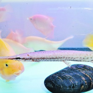 �x������ˮ���^����ȸ�X