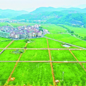 �ߘ�(bi��o)��(zh��n)�r(n��ng)���S������