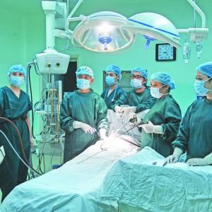 �Ĵַ��͓��B(y��ng)���ƌW(xu��)�B(y��ng)��  ���������t(y��)��Ҋ(ji��n)�C�����t(y��)���I(y��)�l(f��)չ