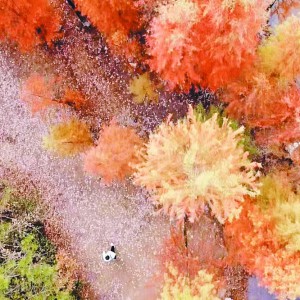 �͵��^(gu��)��(ji��) ���T(m��n)�ړ�����Ԋ(sh��)�c�h(yu��n)����