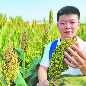 �Ɏ����l(xi��ng)��(d��ng)�����r(n��ng)�ˡ�