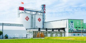 �x���AϪ������(chu��ng)�r(n��ng)��(ch��ng)�������(zh��n)�á��S����