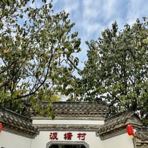 ���Ӽt�� �x�������кá�����