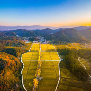 �x���з����(zh��n)�¿ڴ���1000�஀�ߘ˜��r(n��ng)���(n��i)���������SһƬ