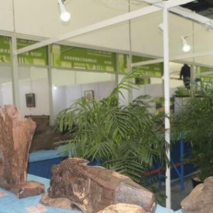 ��ʮ���ɭ����(hu��)�� ľ���񣩵��ܹ��ɽ����@�����㼼ˇ