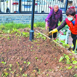 �N���_���r(n��ng)���� ������Ȼ�r(sh��)�⡱  إ����ֵ��B(y��ng)�Ϸ���(w��)����׌��������������ζ