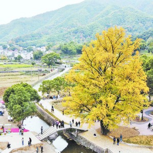 �x������(zh��n)�t���ǧ���y��ӭ���^���^�p��