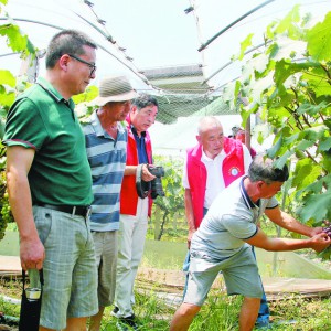 ���N(li��n)�磺���ľ��������M(j��n)�l(xi��ng)�����d