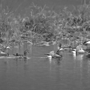 �x���Ͻ�ӭ��Խ�����B