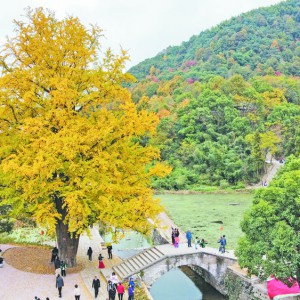 ����(zh��n)�t���@�u(p��ng)���㽭ʡ���B(t��i)�Ļ����ء�