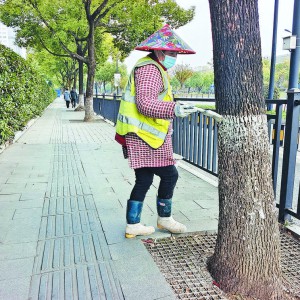 �o�е��䴩�ϡ������¡�