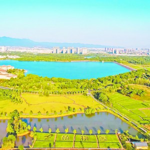 ��Ͷ���F(tu��n)ֲ��@��˾�h֧�����tɫ���h��(qi��ng)���I(l��ng) ���Ĉ�(zh��)�P���G��