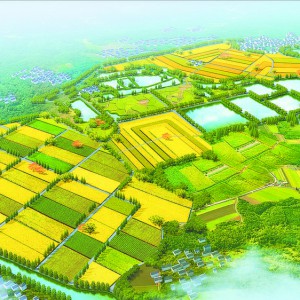 �����r(n��ng)��l(f��)չ��(d��ng)�� ���L�l(xi��ng)�����d��Ϫ��(hu��)��