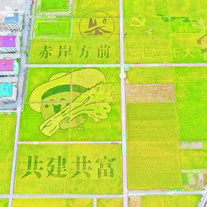 �శ�(zh��n) �Ƅ�(d��ng)��������ں� ��ʹС�(zh��n)���c(di��n)�G�ɽ�