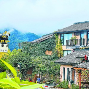 ���[��С�(zh��n)�����ڰ�����̎�ġ�ɭ�����ɡ�