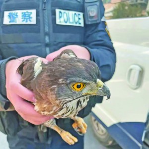 �x���శ�P�^���܂��@��