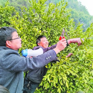 ���g���^���ڸ��١��Nֲ��(j��ng)��