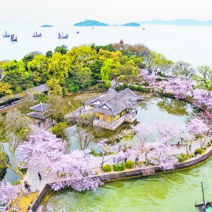 �ѻ�����Ȼ�_�� ���]�p�ѵص����