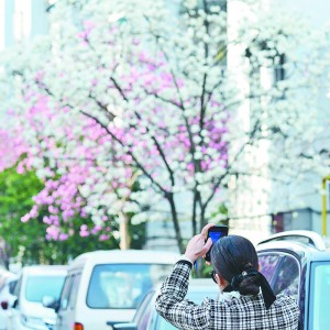 �x�����l(xi��ng)���m̽�� ��һ��һ�@һ�ǡ����������r(sh��)