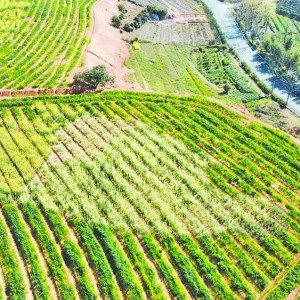 �శ���l(xi��ng)�t����������һ�ء�������ˮ��