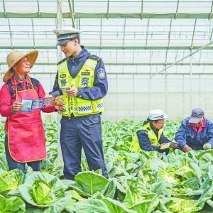 ���r(n��ng)��ȫ ӛ���g