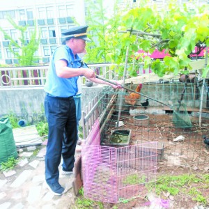 �������������� ���_(t��i)���ˡ��B(y��ng)�u��(ch��ng)��  �������֕�(hu��)���������韩��