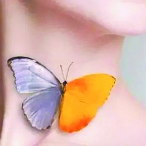 ҡаڡ  ɲSϹfаҲ