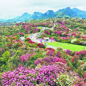 ����ȥ�ă������� �@��ȫ�������p���؈D���������`��