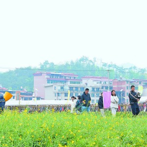 ��s�������� ��������ʢ�� �KϪ�(zh��n)ͬ����ڶ����Ͳ˻���(ji��)�_Ļ