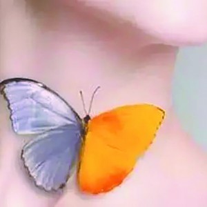 נٽY(ji)(ji)Ǳ