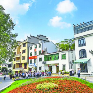 ��ˮ���壺�tɫ�Ļ����I(l��ng)�l(xi��ng)�����d