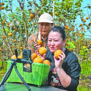 ���g���^�_�����r(n��ng)ֱ��