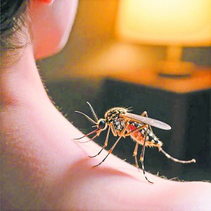 x[xӡ ļҊxΑ(yng)