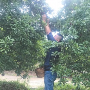 P(pn)÷O(sh) }绨ѩ x÷tǧ